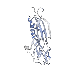 22185_6xh8_B_v1-3
CueR-transcription activation complex with RNA transcript