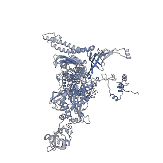 22185_6xh8_C_v1-2
CueR-transcription activation complex with RNA transcript