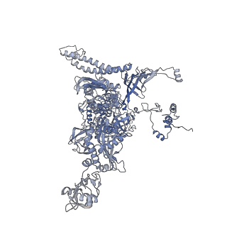 22185_6xh8_C_v1-3
CueR-transcription activation complex with RNA transcript