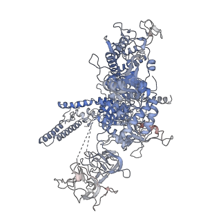 22185_6xh8_D_v1-2
CueR-transcription activation complex with RNA transcript