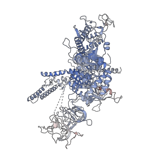 22185_6xh8_D_v1-3
CueR-transcription activation complex with RNA transcript