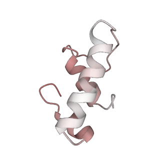 22185_6xh8_E_v1-2
CueR-transcription activation complex with RNA transcript