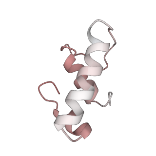 22185_6xh8_E_v1-3
CueR-transcription activation complex with RNA transcript