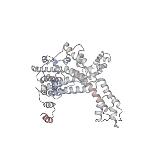 22185_6xh8_F_v1-2
CueR-transcription activation complex with RNA transcript