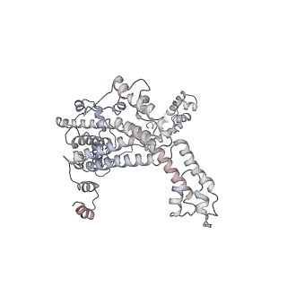 22185_6xh8_F_v1-3
CueR-transcription activation complex with RNA transcript