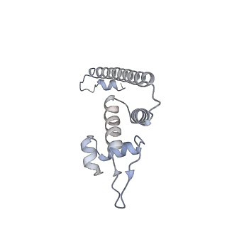 22185_6xh8_G_v1-2
CueR-transcription activation complex with RNA transcript