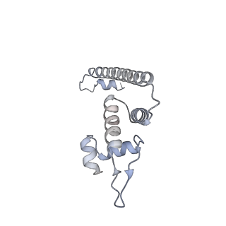 22185_6xh8_G_v1-3
CueR-transcription activation complex with RNA transcript