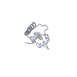 22185_6xh8_H_v1-3
CueR-transcription activation complex with RNA transcript