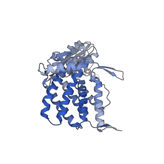 22186_6xhi_A_v1-0
Cryo-EM structure of octadecameric TF55 (beta-only) complex from S. solfataricus bound to ADP