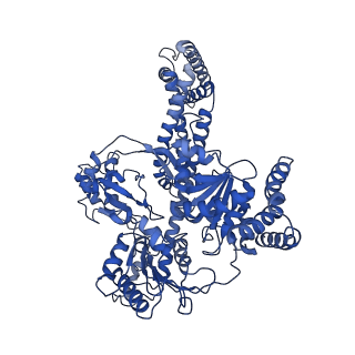 33192_7xha_A_v1-1
Structure of the SecA/SecYE/proOmpA(4Y)-sfGFP complex with ADP.BeF3-.
