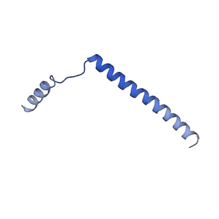 33192_7xha_E_v1-1
Structure of the SecA/SecYE/proOmpA(4Y)-sfGFP complex with ADP.BeF3-.