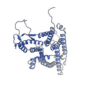 33192_7xha_Y_v1-1
Structure of the SecA/SecYE/proOmpA(4Y)-sfGFP complex with ADP.BeF3-.