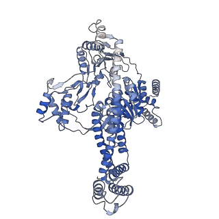 33193_7xhb_A_v1-1
Structure of the SecA/SecYE/proOmpA(4Y)-sfGFP complex with ADP