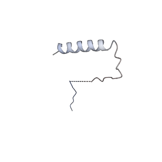 33193_7xhb_B_v1-1
Structure of the SecA/SecYE/proOmpA(4Y)-sfGFP complex with ADP