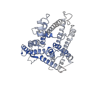 33193_7xhb_Y_v1-1
Structure of the SecA/SecYE/proOmpA(4Y)-sfGFP complex with ADP