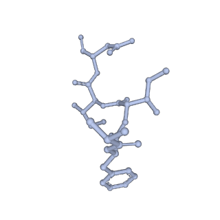 33196_7xhn_C_v1-0
Structure of human inner kinetochore CCAN-DNA complex