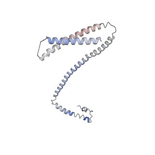 33196_7xhn_H_v1-0
Structure of human inner kinetochore CCAN-DNA complex