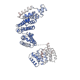 33196_7xhn_I_v1-0
Structure of human inner kinetochore CCAN-DNA complex