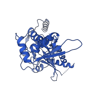 33196_7xhn_L_v1-0
Structure of human inner kinetochore CCAN-DNA complex