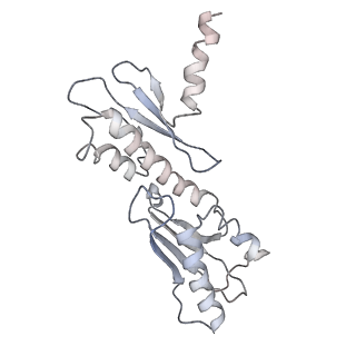33196_7xhn_O_v1-0
Structure of human inner kinetochore CCAN-DNA complex