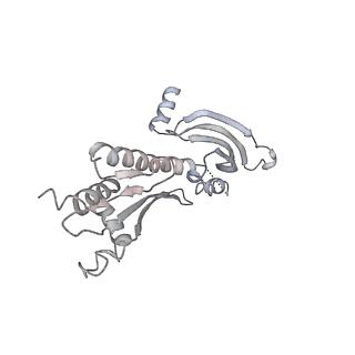 33196_7xhn_P_v1-0
Structure of human inner kinetochore CCAN-DNA complex