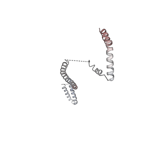 33196_7xhn_Q_v1-0
Structure of human inner kinetochore CCAN-DNA complex