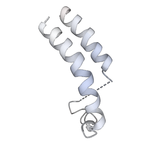 33196_7xhn_R_v1-0
Structure of human inner kinetochore CCAN-DNA complex