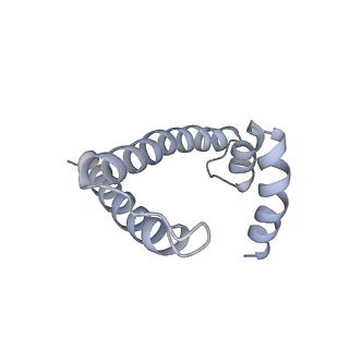 33196_7xhn_S_v1-0
Structure of human inner kinetochore CCAN-DNA complex