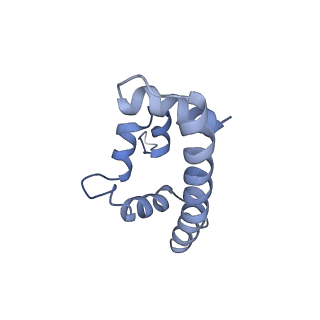 33196_7xhn_T_v1-0
Structure of human inner kinetochore CCAN-DNA complex