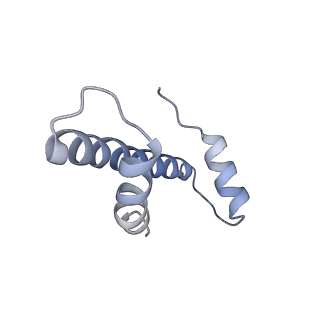 33196_7xhn_W_v1-0
Structure of human inner kinetochore CCAN-DNA complex