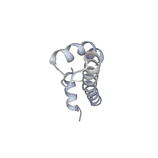 33196_7xhn_X_v1-0
Structure of human inner kinetochore CCAN-DNA complex