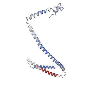 33197_7xho_H_v1-2
Structure of human inner kinetochore CCAN complex