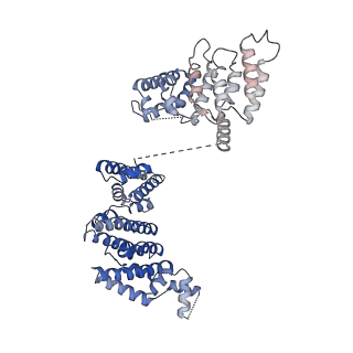 33197_7xho_I_v1-2
Structure of human inner kinetochore CCAN complex