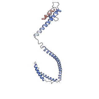 33197_7xho_K_v1-2
Structure of human inner kinetochore CCAN complex