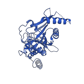 33197_7xho_L_v1-2
Structure of human inner kinetochore CCAN complex