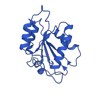 33197_7xho_M_v1-2
Structure of human inner kinetochore CCAN complex