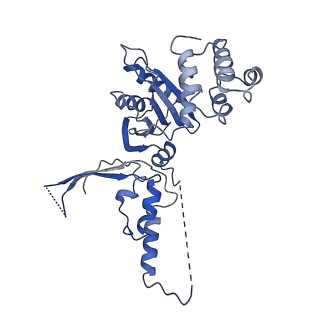 33197_7xho_N_v1-2
Structure of human inner kinetochore CCAN complex