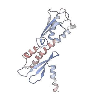 33197_7xho_O_v1-2
Structure of human inner kinetochore CCAN complex
