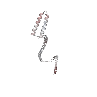 33197_7xho_Q_v1-2
Structure of human inner kinetochore CCAN complex