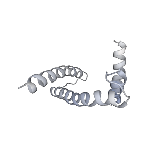 33197_7xho_S_v1-2
Structure of human inner kinetochore CCAN complex