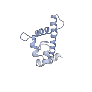 33197_7xho_T_v1-2
Structure of human inner kinetochore CCAN complex