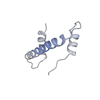 33197_7xho_W_v1-2
Structure of human inner kinetochore CCAN complex