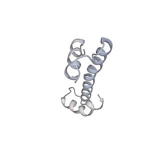 33197_7xho_X_v1-2
Structure of human inner kinetochore CCAN complex
