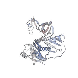 33198_7xht_A_v1-0
Structure of the OgeuIscB-omega RNA-target DNA complex