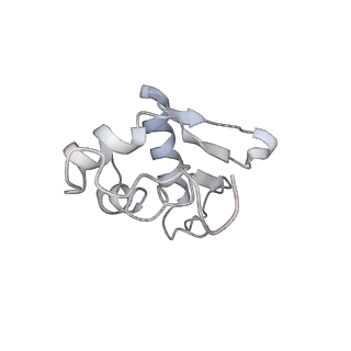 22196_6xiq_AA_v1-2
Cryo-EM Structure of K63R Ubiquitin Mutant Ribosome under Oxidative Stress