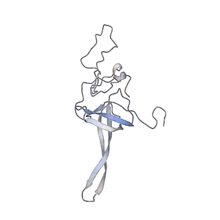 22196_6xiq_AB_v1-2
Cryo-EM Structure of K63R Ubiquitin Mutant Ribosome under Oxidative Stress