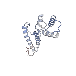 22196_6xiq_AD_v1-2
Cryo-EM Structure of K63R Ubiquitin Mutant Ribosome under Oxidative Stress