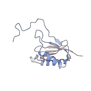 22196_6xiq_AE_v1-2
Cryo-EM Structure of K63R Ubiquitin Mutant Ribosome under Oxidative Stress