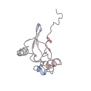 22196_6xiq_AF_v1-2
Cryo-EM Structure of K63R Ubiquitin Mutant Ribosome under Oxidative Stress