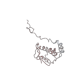 22196_6xiq_AG_v1-2
Cryo-EM Structure of K63R Ubiquitin Mutant Ribosome under Oxidative Stress